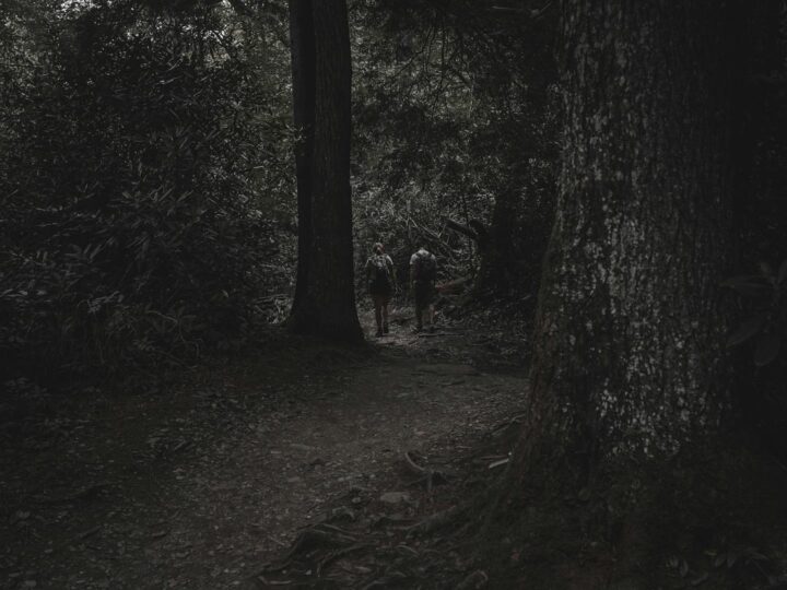 Il Parco dei tigli
